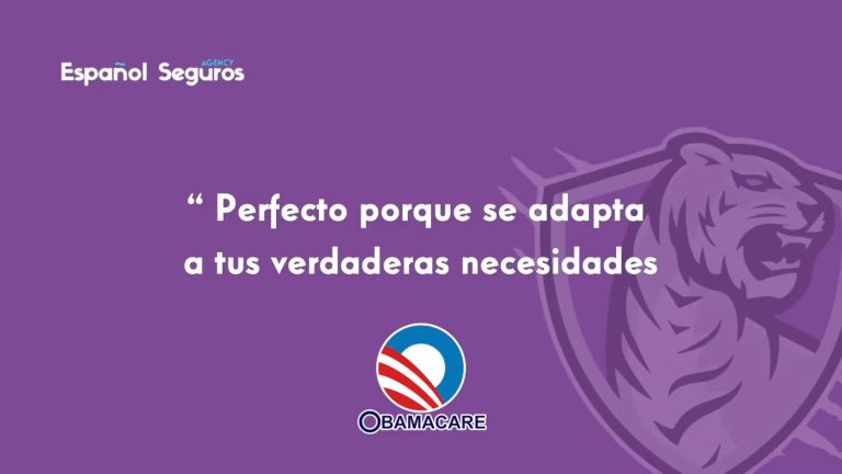 Español Seguros