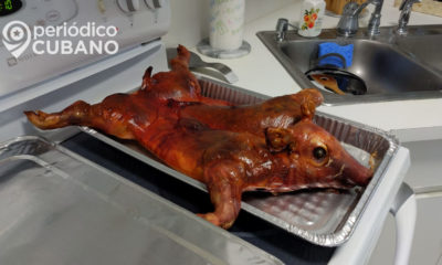 cerdo puerco asado