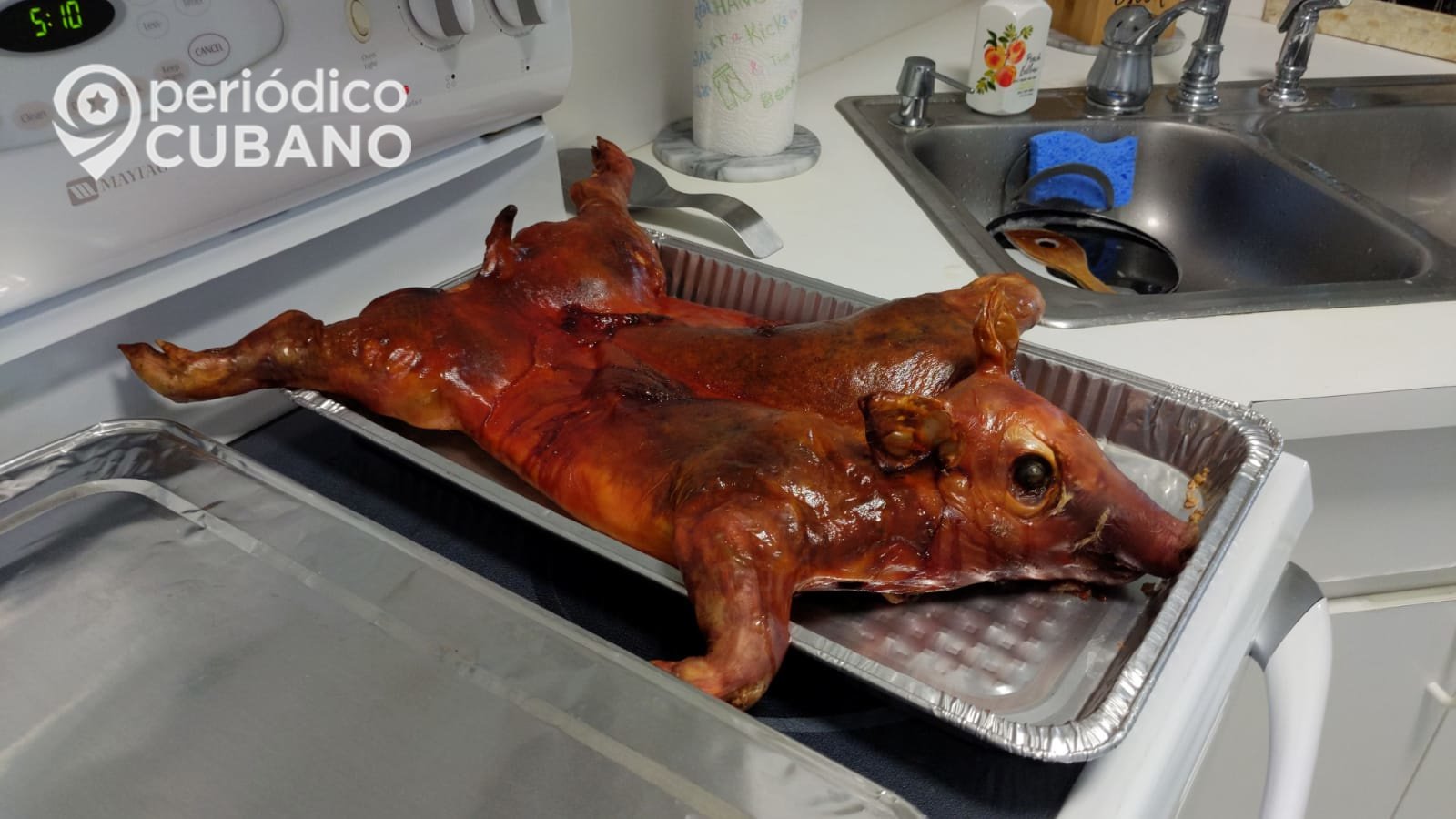 cerdo puerco asado