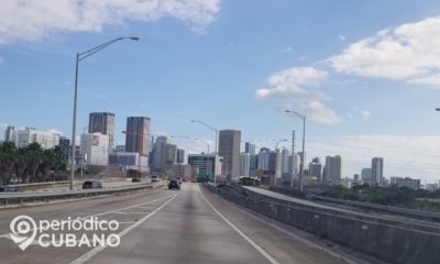 Chifla el mono en Miami