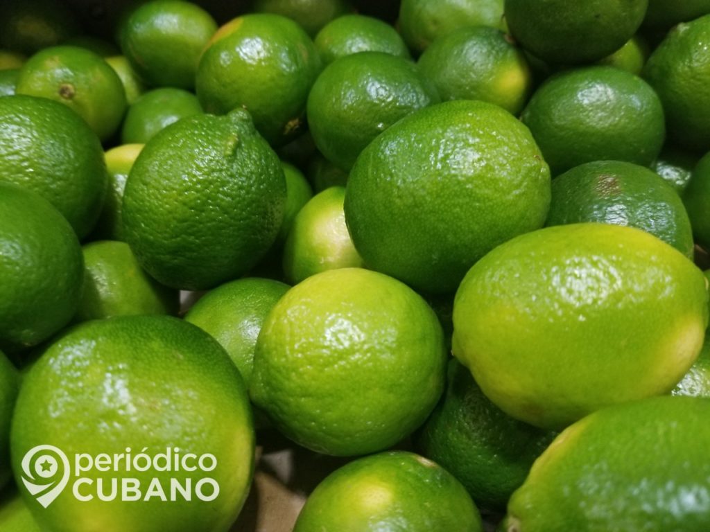 Los cubanos sin limones ven como desde Guantánamo el gobierno los exporta
