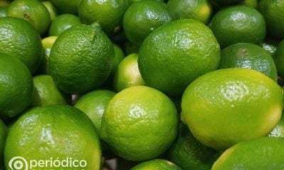 Los cubanos sin limones ven como desde Guantánamo el gobierno los exporta