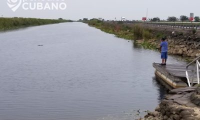 Encuentran cuerpo de un joven dentro de un auto sumergido en un canal de Broward