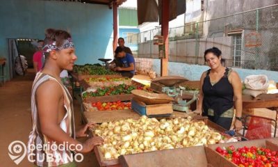 Campesinos proponen plan para evitar que la pandemia provoque una hambruna en Cuba