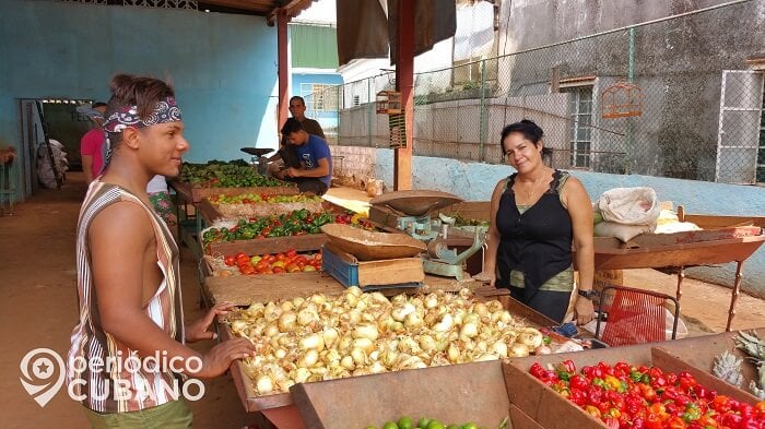 Campesinos proponen plan para evitar que la pandemia provoque una hambruna en Cuba