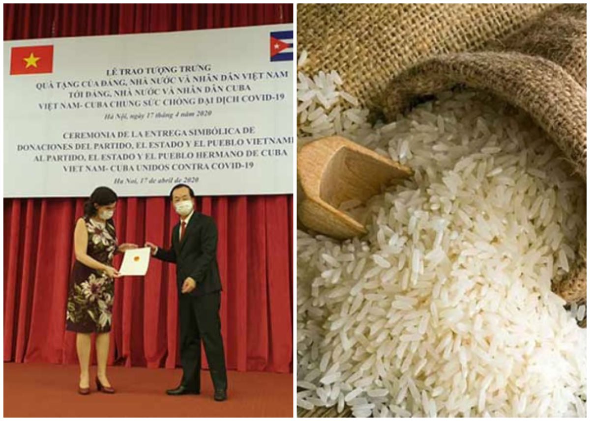 Cuba recibe 5 mil toneladas de arroz como un regalo de Vietnam ...