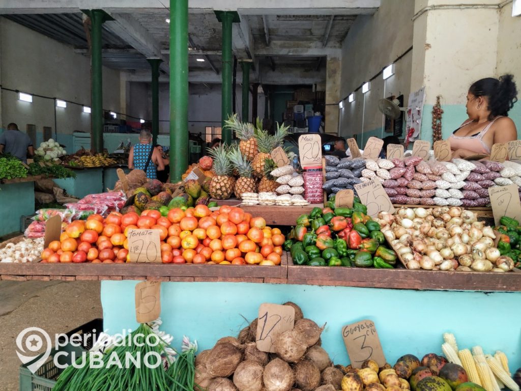 Pedro Monreal considera muy difícil que la agricultura cubana alimente al país cuando pase el coronavirus