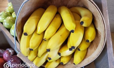 Plátanos en venta
