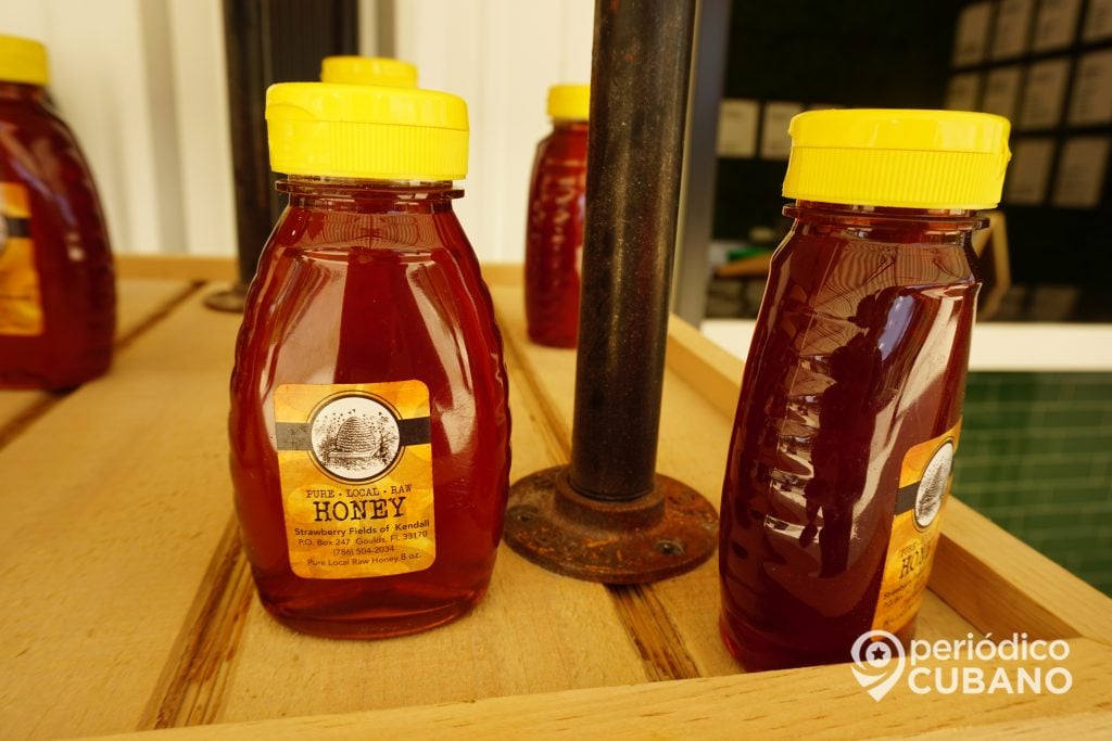 miel de abeja natural (1)