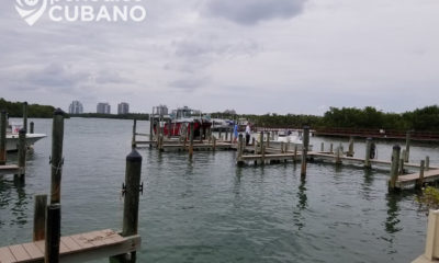 Autopsia confirma que el niño Alejandro Ripley murió por ahogamiento en un canal de Miami-Dade