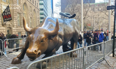 toro de wall street (24)