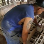 Activistas cubanos preparan un refugio para animales callejeros en Pinar del Río