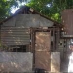 Activistas cubanos preparan un refugio para animales callejeros en Pinar del Río