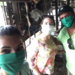 Activistas cubanos preparan un refugio para animales callejeros en Pinar del Río