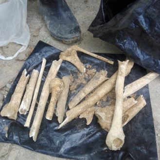 Cementerio descubierto en Cumanayagua (3)