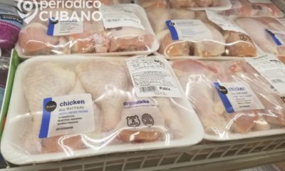 Cuba produce menos pollo que una sola empresa en Jamaica