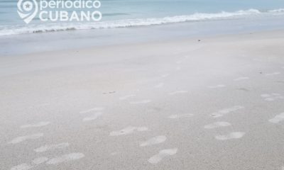 Playas de Miami-Dade cierran este 4 de julio para evitar crecimiento del Covid-19