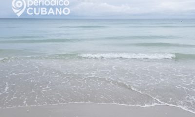 Tiburón ataca a un niño de siete años en una playa al suroeste de Miami-Dade