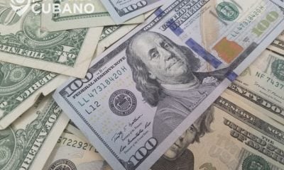 Dólares billetes de estados unidos