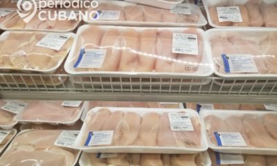 En mayo Cuba incrementan las importaciones de pollo desde EEUU