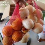 Iglesia de Hialeah Gardens reparte cajas de alimentos por la pandemia