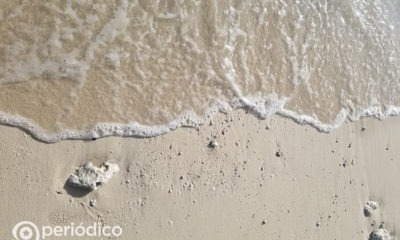 Miami-Dade abrirá sus playas pero cerrará de nuevo restaurantes y otros lugares