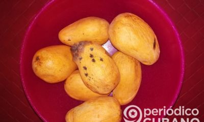 Ante la escasez de carne en Cuba, el Gobierno solo puede ofrecer mango al pueblo