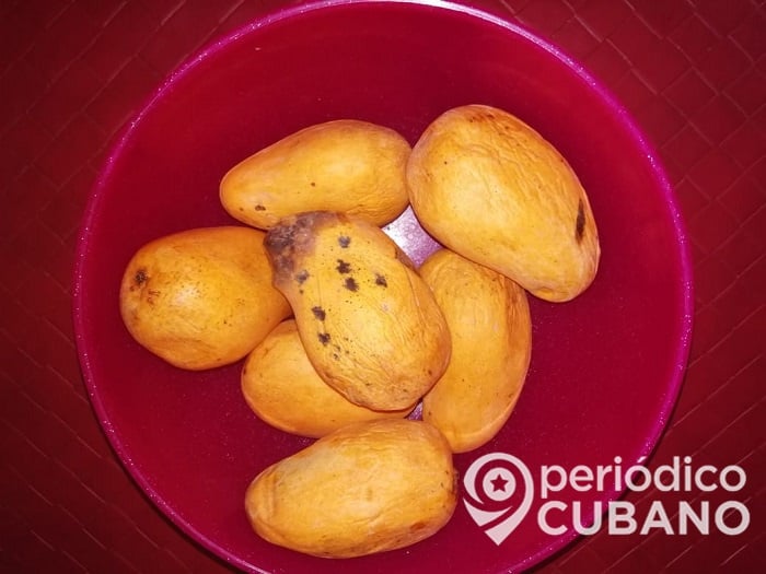 Ante la escasez de carne en Cuba, el Gobierno solo puede ofrecer mango al pueblo