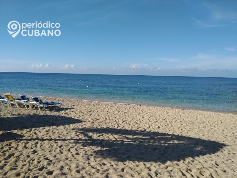 Reportan un tiburón en las playas cubanas