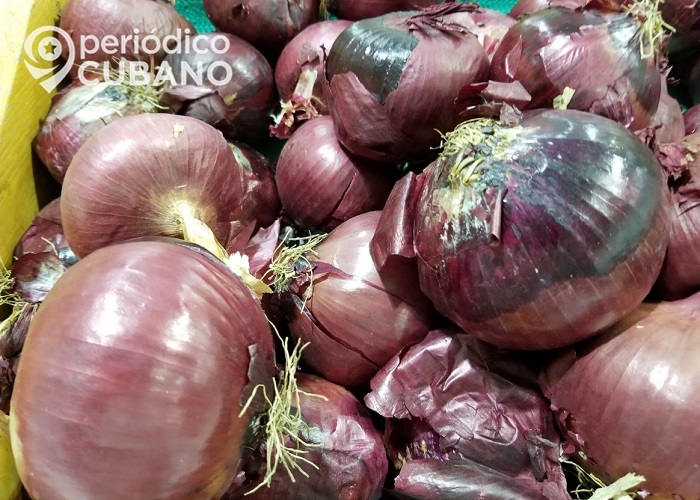 PNR decomisa 4 toneladas de cebolla presuntamente ilegal en Ciego de Ávila