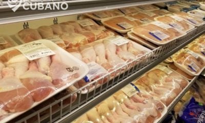 Desplome de las importaciones de pollo a Cuba desde EEUU