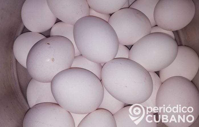 Apagones causados por Laura provocan la pérdida de 15.000 huevos en Artemisa