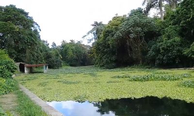 Río Ariguanabo