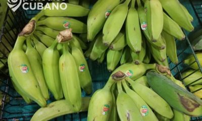 Medio oficialista recomienda a los cubanos comer cáscara de plátano ante la escasez de alimentos