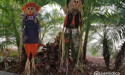 ¿Cómo celebran Halloween en Estados Unidos?