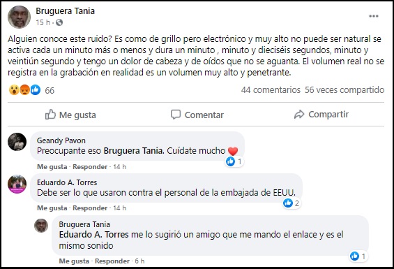 Activista Tania Bruguera denuncia malestar después de presunto “ataque sónico”