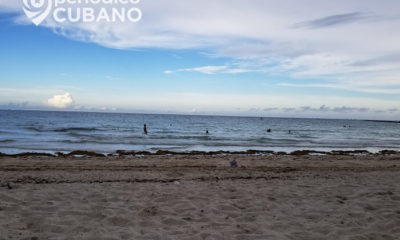 Fuerte corriente ahoga a un hombre en la playa de Haulover, en Florida