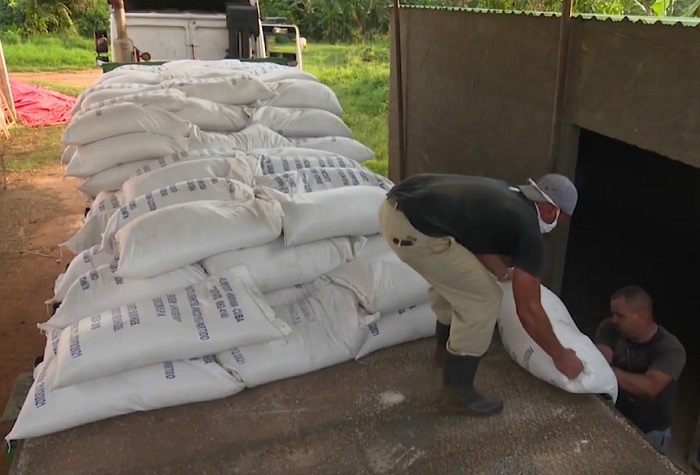 Autoridades detienen a 9 personas en Artemisa por venta ilícita de arroz