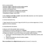 Informan sobre los requisitos para solicitar la visa de turismo de Panamá