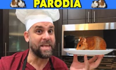 “A comer curiel”, la nueva parodia de Javier Berridy