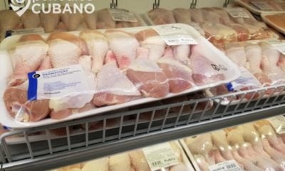 A la venta cajas de carne de pollo listas para enviar a Cuba