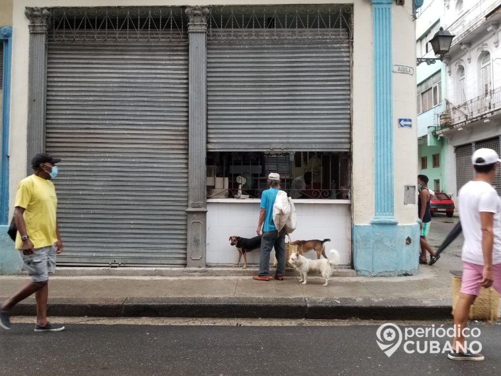 Cuba aprobaría una ley del bienestar animal en febrero, pero retrasa el nuevo Código de Familia