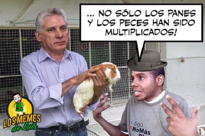 Llueven los memes sobre el curiel como alimento para los cubanos