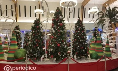 Pronostican intenso frío para la Navidad en el sur de la Florida