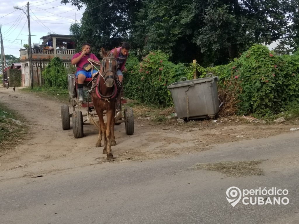 Autoridades de Nuevitas suspenden nuevas licencias para cocheros