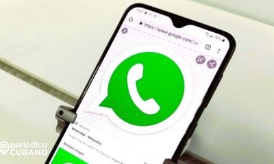 Residente de Florida recibe cargos en su cuenta de teléfono por llamadas a Cuba a través de WhatsApp