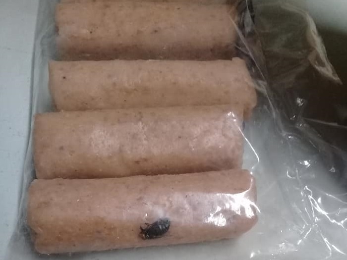 “¡Me dieron proteína extra!”: cubano compra un paquete de croquetas con mosca incluida