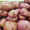 Tienda en dólares (MLC) vende sacos para papas a los campesinos cubanos