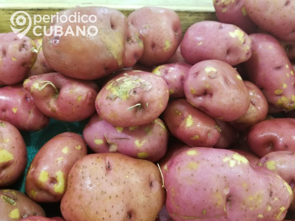 Tienda en dólares (MLC) vende sacos para papas a los campesinos cubanos