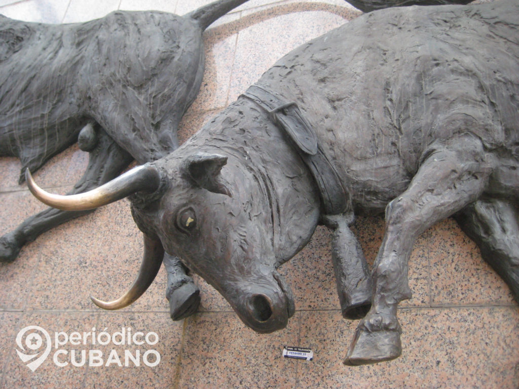 Nuevo Año Chino dedicado al buey (Foto: Periódico Cubano)